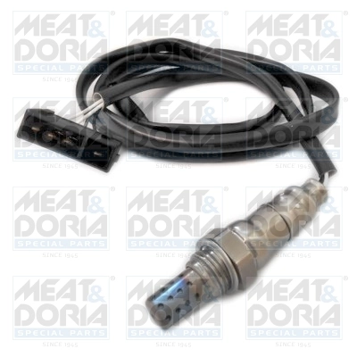 Oxygen Sensor